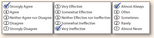 Example of a filled out rating scale