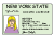 icon of driver's license