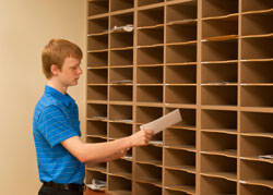 Person sorting mail