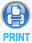 Print Icon example